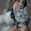 GPS-Tracker pour Chiens et Chats Atto Pro Voir les images du produit 11