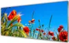 Acrylglasbilder 125x50 Wandbild Druck Blumen Pflanzen Produktbild-Vorschau 1