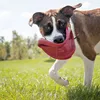 KONG Hundespielzeug KONG Flyer 24 cm rot Produktbild-Vorschau 3