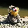 Plüsch-Affe Mandrill 28 cm ECO-FRIENDLY Produktbild-Vorschau 5