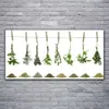 Glasbilder 120x60 Wandbild Druck auf Glas Blumen Pflanzen Produktbild-Vorschau 2