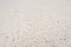 A close-up view of a cream-colored shaggy rug. Voir les images du produit