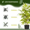 HOMCOM Bambou artificiel plantes artificielles décoratives Voir les images du produit 4