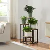 A multi-tiered plant stand with several potted plants is placed in a living room setting next to a sofa and a window. Náhled obrázku produktu