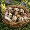 60x Wachteleier Natur ausgeblasen gereinigt Deko Ostern Produktbild-Vorschau 6