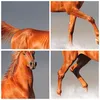 Bilder auf glas - Tiere Pferd Galopp Geschwindigkeit - Produktbild-Vorschau 8