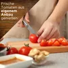 Tomatensamen Set - 10 Sorten Samen - Saatgut Sortiment - Produktbild-Vorschau 6