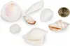 Muschelmix weiß 1 kg 1–6 cm Deko Muscheln Schneckenhäuser Produktbild-Vorschau 4