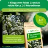 Purgrün -Felsenbirne-Dünger 1 kg Produktbild-Vorschau 4