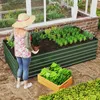 A person is tending to a raised garden bed in a garden setting. Voir les images du produit