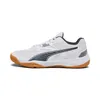 Schuhe Puma Solarflash Ii pánská sálová albov eu 40,5 Produktbild-Vorschau 11