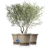 BigDean 50cm Blumentopf mit Untersetzer rund Mocca - Produktbild-Vorschau 2