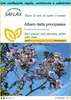SAFLAX Set regalo - Albero della principessa - 200 semi - Anteprima dell’immagine prodotto 1