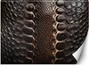 Vlies fototapete Schlangenhaut Tiere 400x280 cm Feeby Braun Produktbild-Vorschau 1