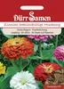 Dürr-Samen - Zinnien Dahlienblütige Prachtmischung Produktbild-Vorschau 1