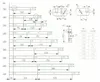SOTECH Vollauszug KV-50 – Nennlänge 600 mm, Zargenhöhe 45 Produktbild-Vorschau 6