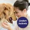 Canosept Ohrreiniger 125 ml Produktbild-Vorschau 4