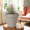 Pflanzkübel - RUND - XS - Ø 25 cm - Farbe: beige Produktbild-Vorschau 6