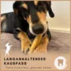 Supravit Yak Kaukäse für Hunde L (3er Pack) | Käseknochen Produktbild-Vorschau 4