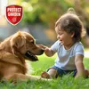 PROTECT GARDEN Universal-Rasenunkrautfrei Loredo Quattro Produktbild-Vorschau 7