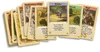 999 games - Spel kolonisten van catan kaartspel Produktbild-Vorschau 2