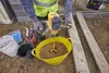 DEWALT DCD240X2 54V XR FlexVolt Akku-Rührwerk mit 2 Akkus Produktbild-Vorschau 3
