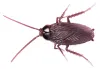 MAGANA: Cucaracha vibrante Vista previa de la imagen del producto 2