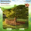 Floranica Recinzione in nocciolo con pali 35 cm x 5 m Anteprima dell’immagine prodotto 5