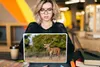 MuchoWow® Laptop Aufkleber Sticker Cover Tiere - Hirsche - Produktbild-Vorschau 5