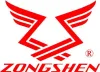 6,5 CV Zongshen XP200A 196cc Motore per tosaerba con Anteprima dell’immagine prodotto 11