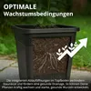 10x Topf viereckig 20,5 x 20,5 x 22cm (6L), Pflanztopf, Produktbild-Vorschau 6