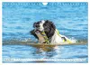 Traumhund Landseer (Wandkalender 2027 DIN A4 quer), Produktbild-Vorschau 14