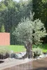 Conacord Deko-Vorhang Kristal transparent, 90 x 200 cm Produktbild-Vorschau 6