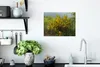 MuchoWow® Poster Blühender Ginster 40x30 cm - Plakate für Produktbild-Vorschau 3