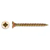 A single screw and its head are shown against a white background. Anteprima dell’immagine prodotto