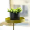 Support de plantes pour rebord de fenêtre - L - Or Voir les images du produit 1