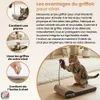 Perfect Claws Katzen Kratzmatte - Venteo™ - Kratzmatte für Produktbild-Vorschau 3