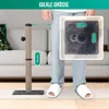 Avalo Kratzstamm für Katzen mit Spielball - 74 cm, Produktbild-Vorschau 6
