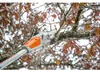 AKKU-HOCHENTASTER STIHL HTA 50, Astsäge, STIHL HTA 50 ohne Produktbild-Vorschau 5