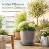 Pflanztopfuntersetzer Mira Anthrazit Ø 49cm - Frostsicher & Produktbild-Vorschau 4