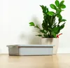 A gray plastic storage box with a lid is placed on a wooden floor in front of a white wall. A potted green plant is to the right of the box. Produktbild-Vorschau