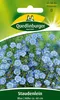 Quedlinburger Staudenlein Blau - Blumensamen Produktbild-Vorschau 1