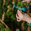 Islandmoos - konserviertes Moos zum Basteln, Moos in 5 Produktbild-Vorschau 5