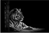 MuchoWow® Poster Tiger - Tiere - Schwarz - Weiß 60x40 cm - Produktbild-Vorschau 1