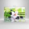 Bilder auf glas - blume orchidee - 100x70cm - Glasbilder - Produktbild-Vorschau 3