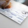 Bilder auf glas - Einteilig - Eichhörnchen Winter Schnee Produktbild-Vorschau 5