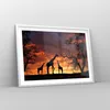 Gerahmtes Poster - Weißer Rahmen - Giraffe Afrika Sonne Produktbild-Vorschau 8