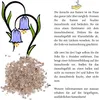 Blauglockenbaum Kiribaum Samen (Paulownia tomentosa) - Produktbild-Vorschau 5