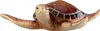 Gilde Figur, Wandobjekt, Schildkröte, "Laureen", Poly, Produktbild-Vorschau 3