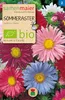 Artikelbild 1 von 'BIO Sommeraster einfache Mischung' aus der Kategorie Asternsamen Produktbild-Vorschau